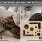 Holzspiel für glückliche und aktive Katzen