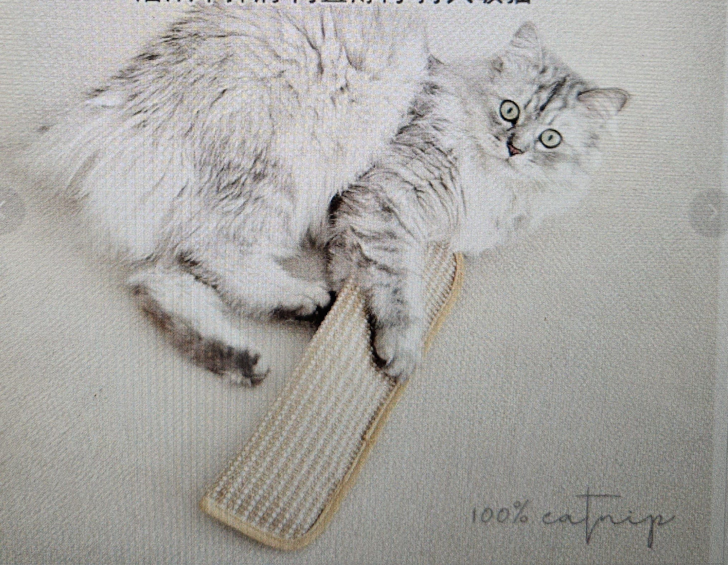 Katzenspielzeug aus Sisal mit Catnip und Beißkissen