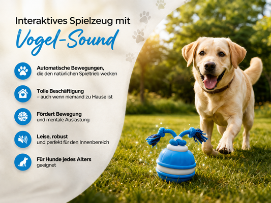 Smart Dog Ball – Der selbstrollende Spielball für endlosen Spielspaß