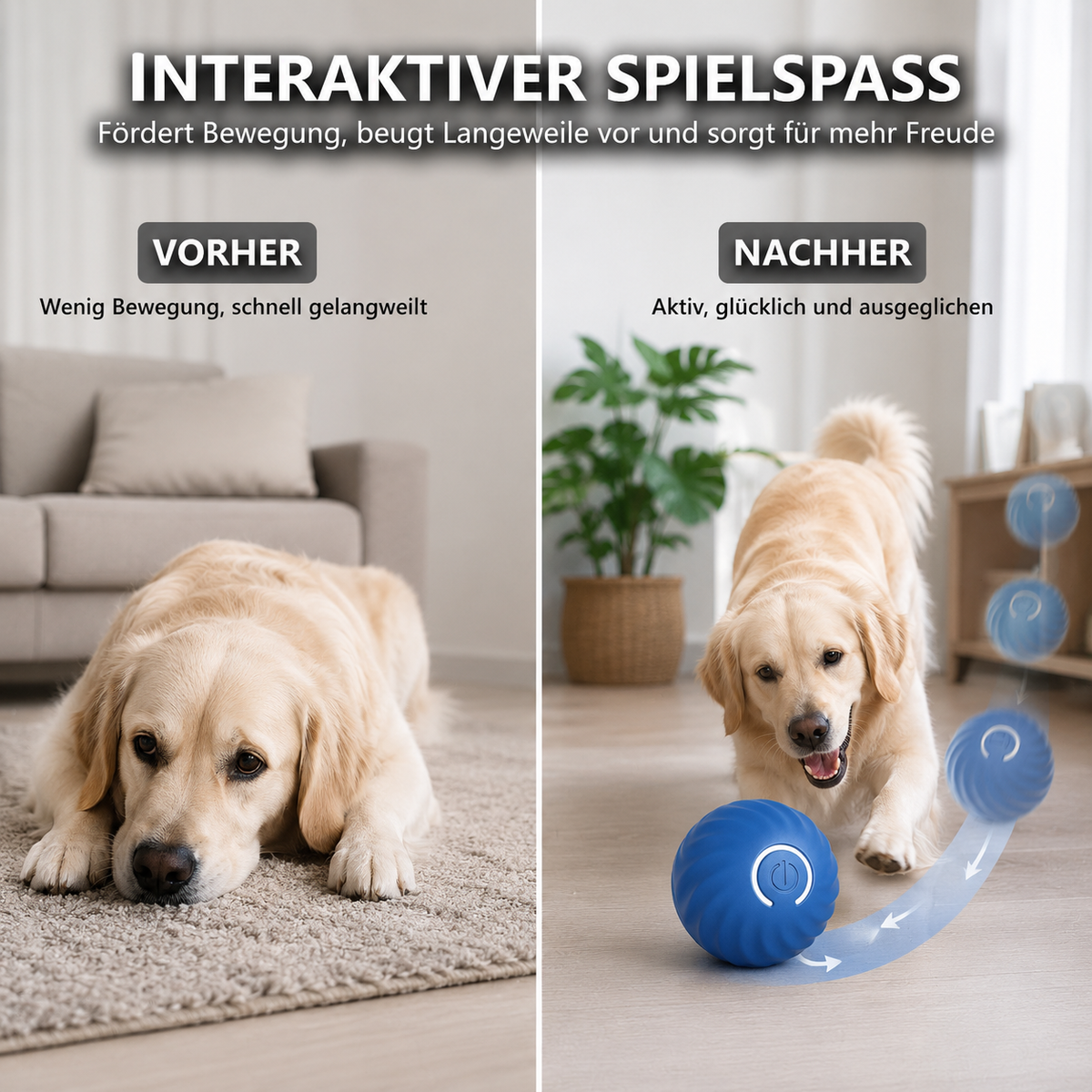 Smart Dog Ball – Der selbstrollende Spielball für endlosen Spielspaß