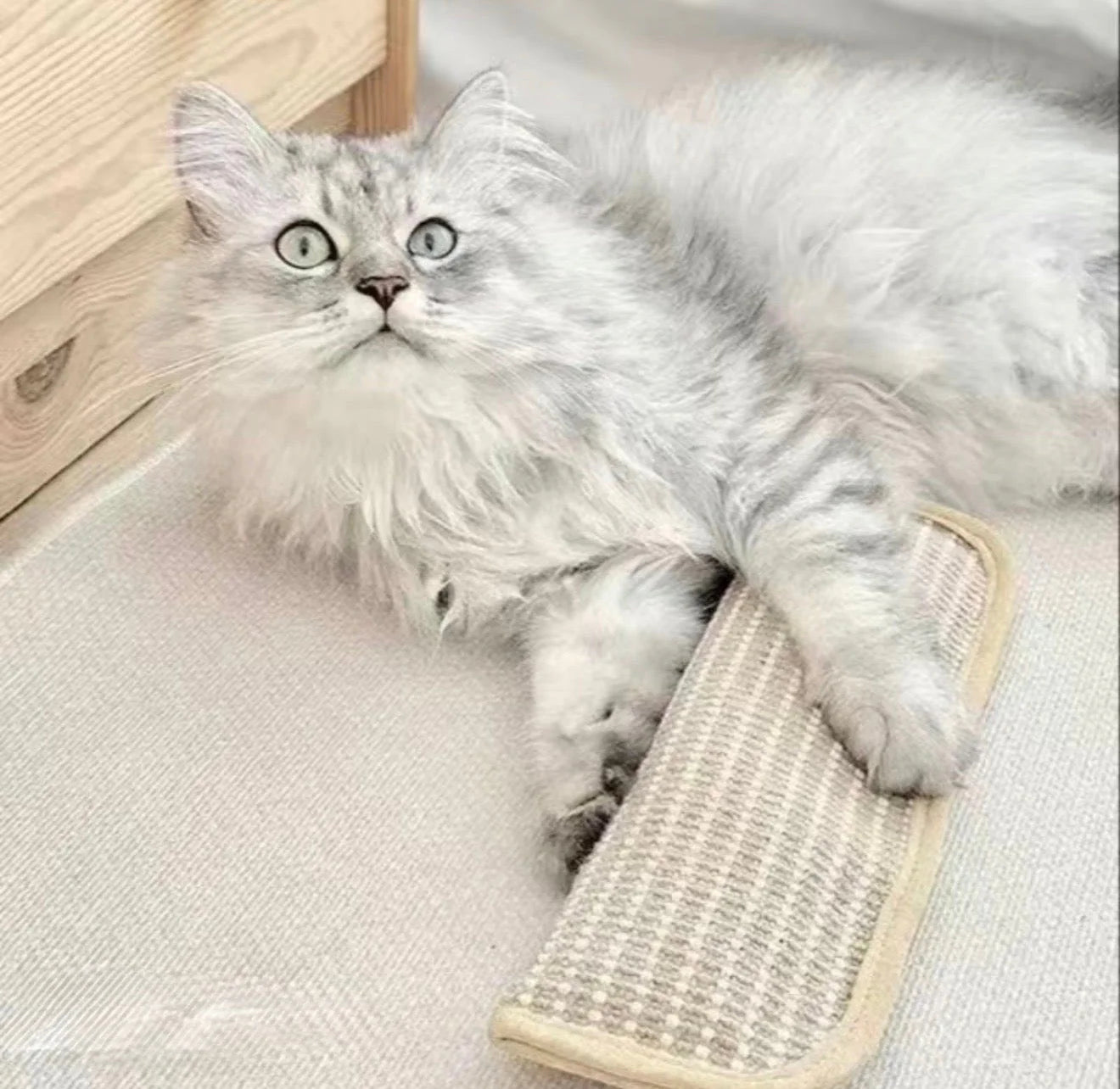 Katzenspielzeug aus Sisal mit Catnip und Beißkissen