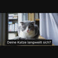 Holzspiel für glückliche und aktive Katzen