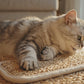 Katzenspielzeug aus Sisal mit Catnip und Beißkissen